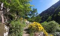 Les_mille_marches_-_Eric_Brendle