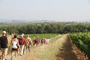 Randonneurs Abeilhan_CDRP34