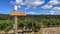 Vignes et volcans de fontes0010 ©Gilles Delerue - ADT34