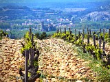 R02 - Châteauneuf du Pape-Patrimoine