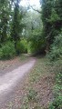 Sentier sur l'Islon Saint Luc