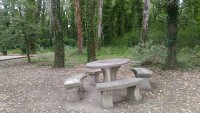 Sentier sur l'Islon Saint Luc