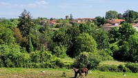 Le village
