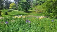 Parc