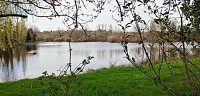 Le Rhône