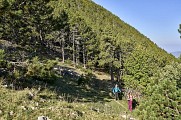 BÉDOIN - Les crêtes du Mont Ventoux