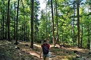 Sentier botanique du Seelberg
