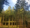 Circuit des totems