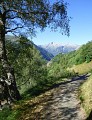 En chemin