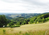 Dans les Monts du Lyonnais