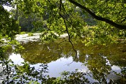 Le Vert Buisson