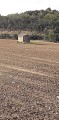 R10 A la découverte de la campagne Grillonaise_Grillon