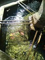 fontaine st martin de londres @ Gilles Delerue