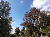 Parc Beaumont - Pau - vue d'ensemble