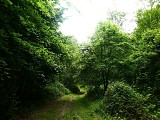 Du Peney au bois de Mingrey (Saint-Gilles)