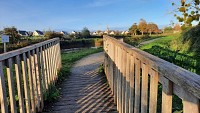 nlIwz