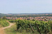 Châtenois depuis le vignoble