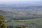Dieffenthal et Dambach-la-Ville depuis le Hahnenberg