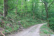 Circuit A l'assaut du Hahnenberg depuis Châtenois