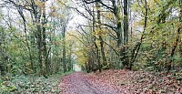 Chemin