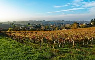 Paysage Pommiers