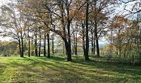Paysage