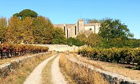 1 vignogoul - GD