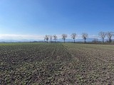 Sentier de la paix