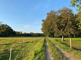 Sentier botanique