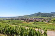 Vignobles Turckheim