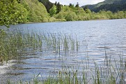 Lac de Sewen