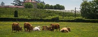 Plateau des Hautes barolles
