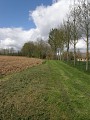 Les Chapelles Seninghem