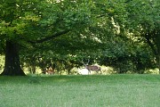Le Mont Vert Alquines