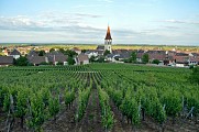 Circuit rando - de Kaysersberg à Ammerschwihr entre vignoble et forêt
