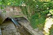 Circuit rando - de Kaysersberg à Ammerschwihr entre vignoble et forêt