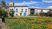 Cabrières au printemps @ Gilles Delerue