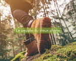 Circuit Le peuple du vieux chêne