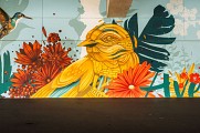 Parcours Street Art_Annemasse