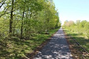 IMG_3224