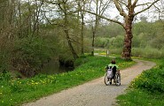 Fauteuil