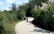 petit vélo