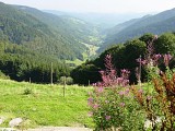 ALSACE CENTRALE : Le Brézouard (67)