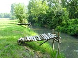 ALSACE CENTRALE : Le ried d'Ohnenheim (67)
