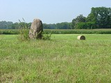 ALSACE CENTRALE : Le ried d'Ohnenheim (67)