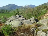 Alsace centrale: l'Ortenberg et le Bernstein (67)