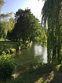 La Saâne à Longueil