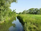 ALSACE CENTRALE : Sentiers de la Mouette et de la Belette (67)