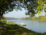 ALSACE CENTRALE : Le sentier de l'Île du Rhin (67)