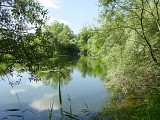 ALSACE CENTRALE : Autour du Schollerhin (67)